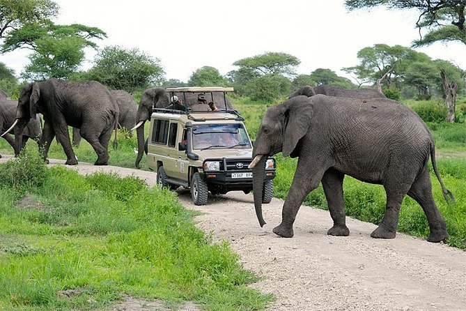 GameDriveinTarangireNationalPark